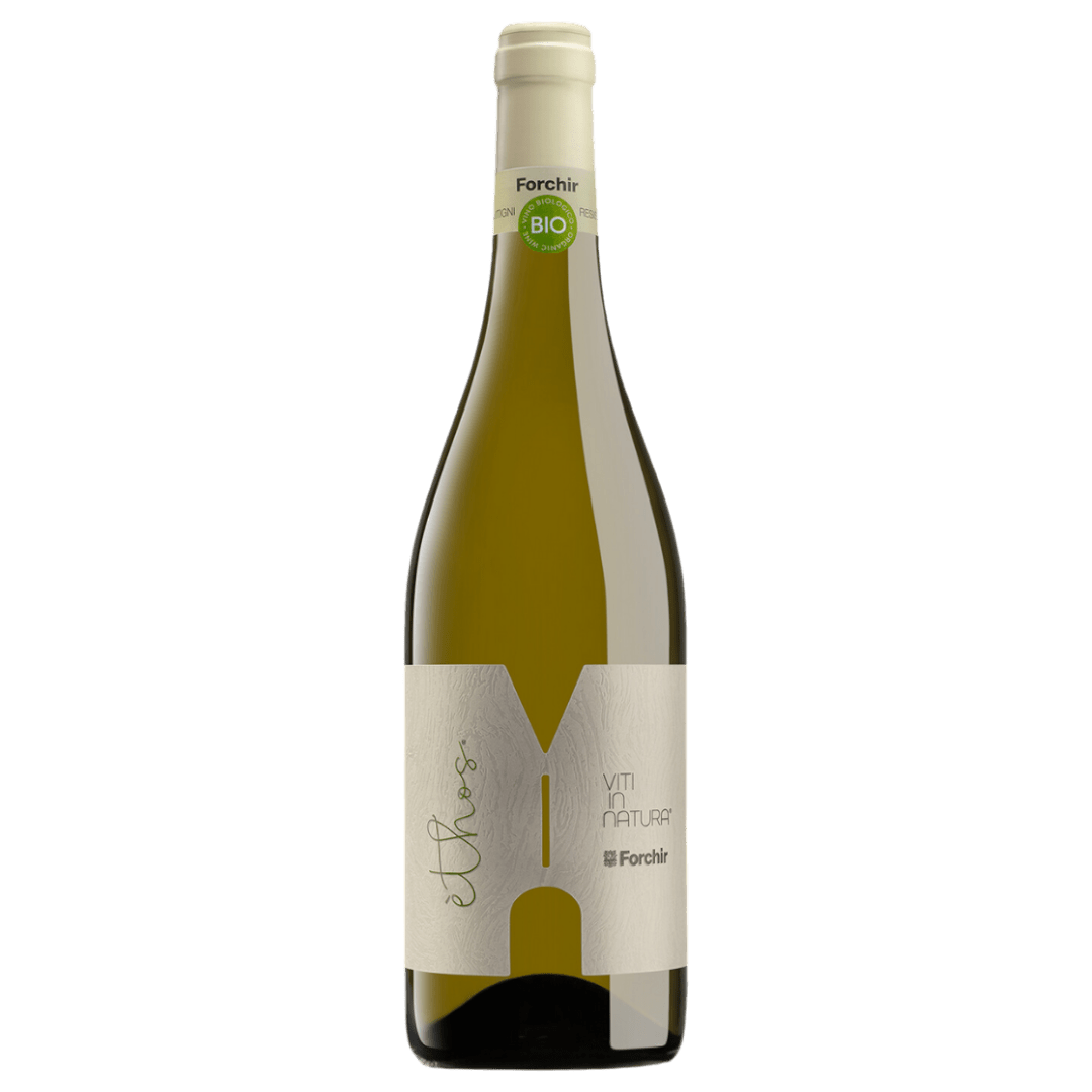 Uveggiando Enoteca Online|Forchir | “Ethos” Vitigni Resistenti | Igt
