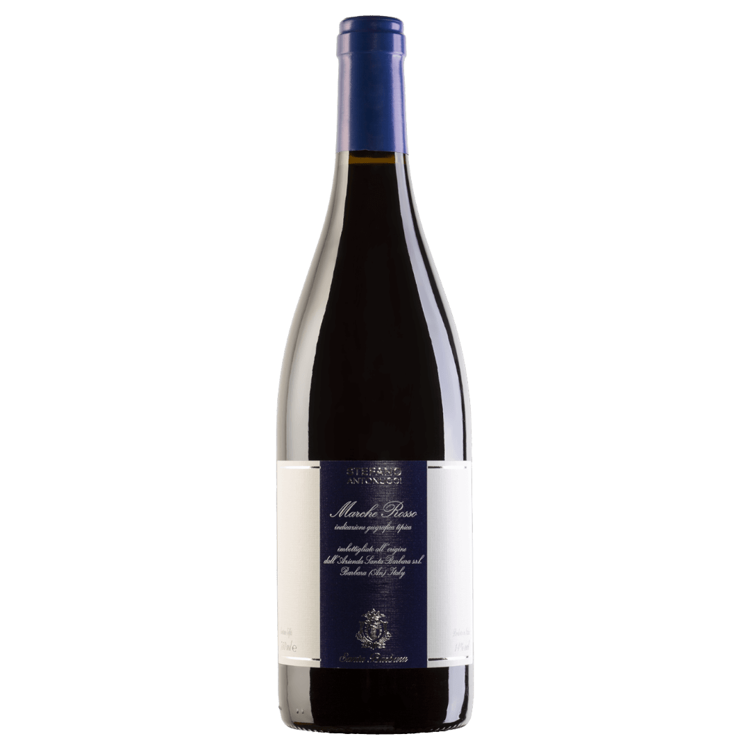 Uveggiando Enoteca Online|Santa Barbara | “Stefano Antonucci” Marche Rosso | Igt