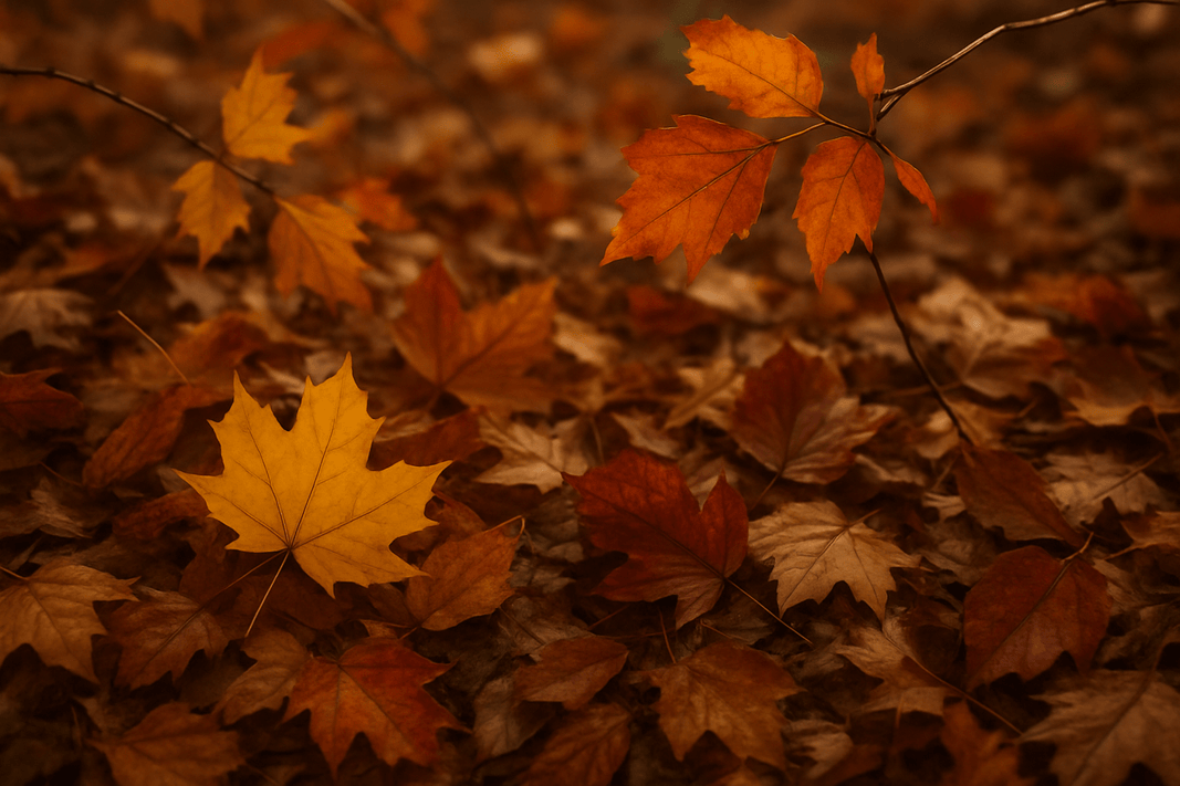 Autunno - Uveggiando