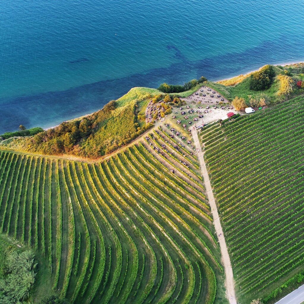Marche - Uveggiando