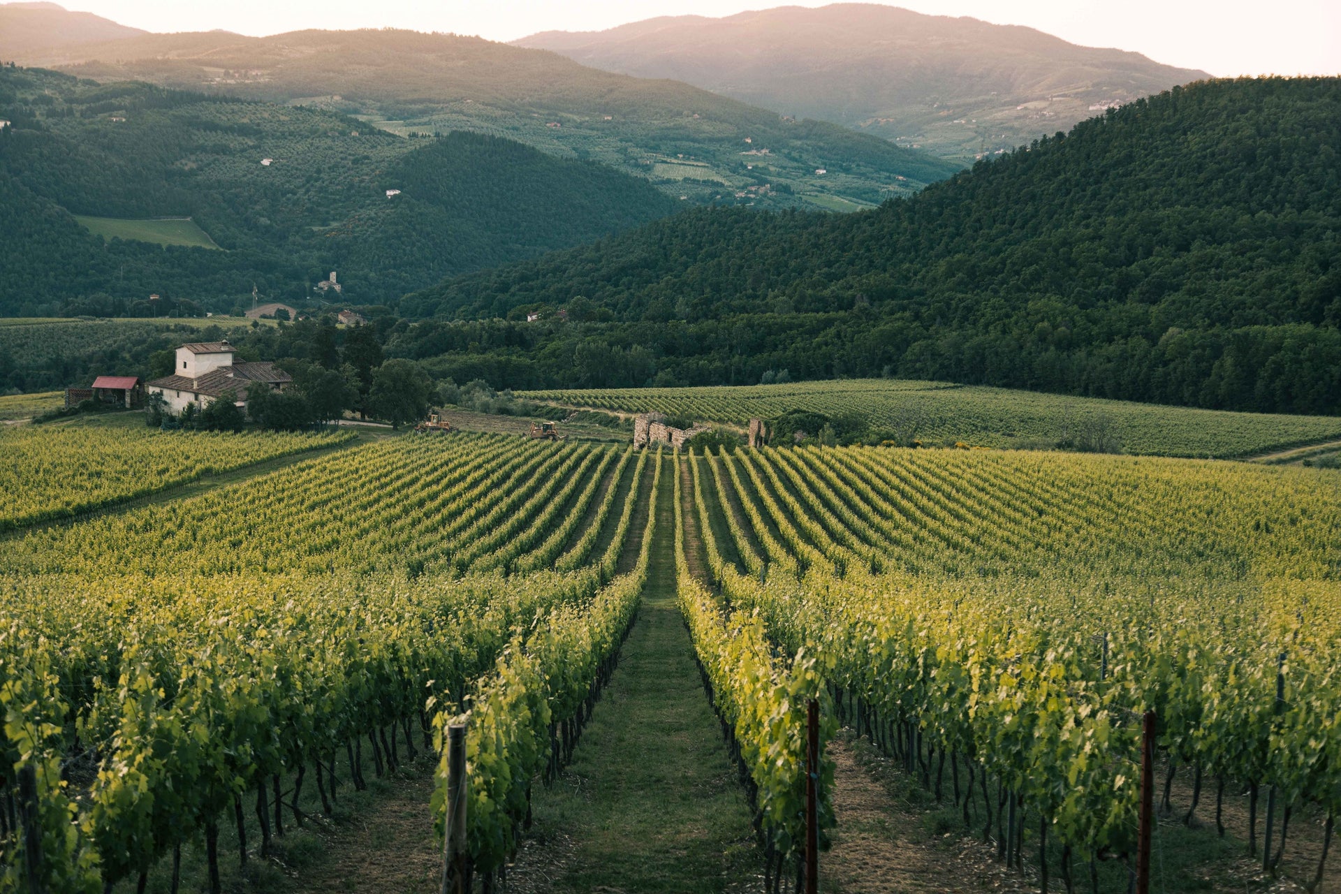 VINO D'ITALIA - Uveggiando
