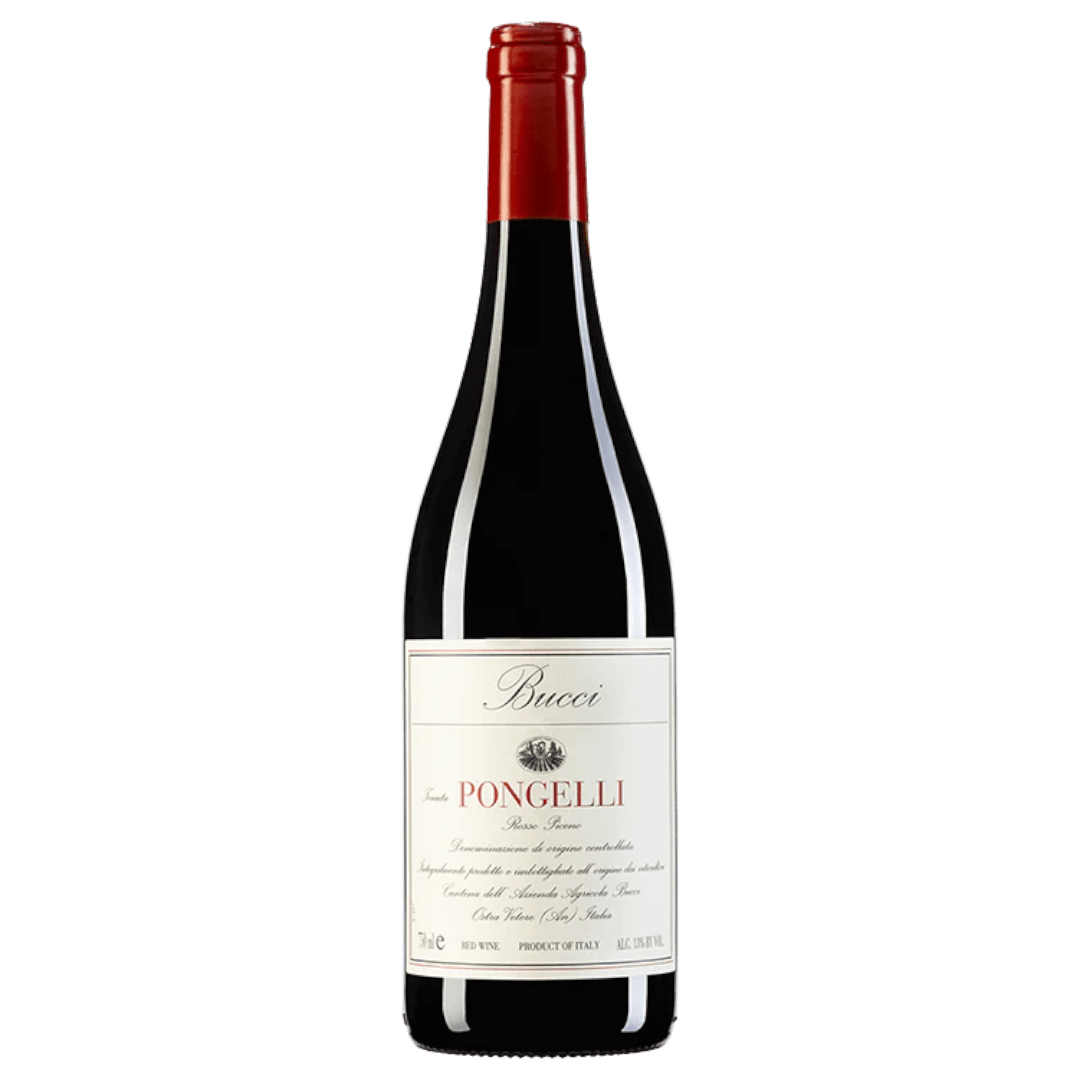 Uveggiando - BUCCI - “Pongelli" Rosso Piceno - DOC