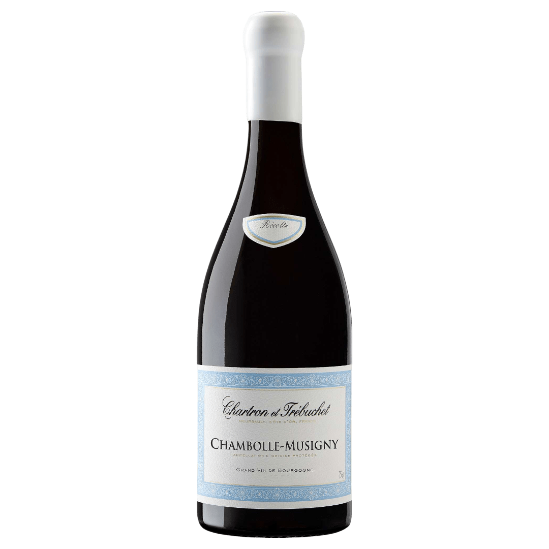 Uveggiando - CHARTRON ET TREBUCHET - Chambolle - Musigny Bourgogne - AOC