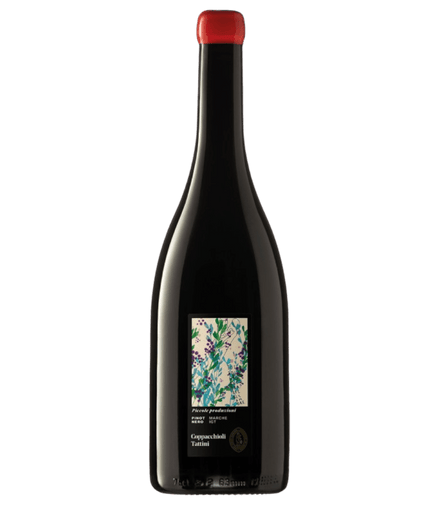 Uveggiando - COPPACCHIOLI - "Piccole Produzioni" Pinot Nero Marche Rosso - IGT