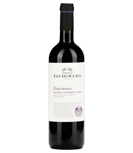 Uveggiando Enoteca Online|Tavignano | “Barbarossa” Lacrima Di Morro D'Alba | Doc